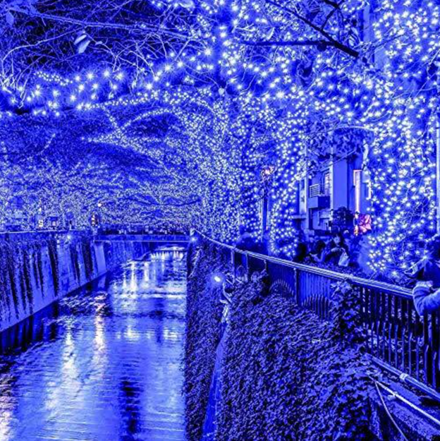 Instalatie Rola 30 m Albastru