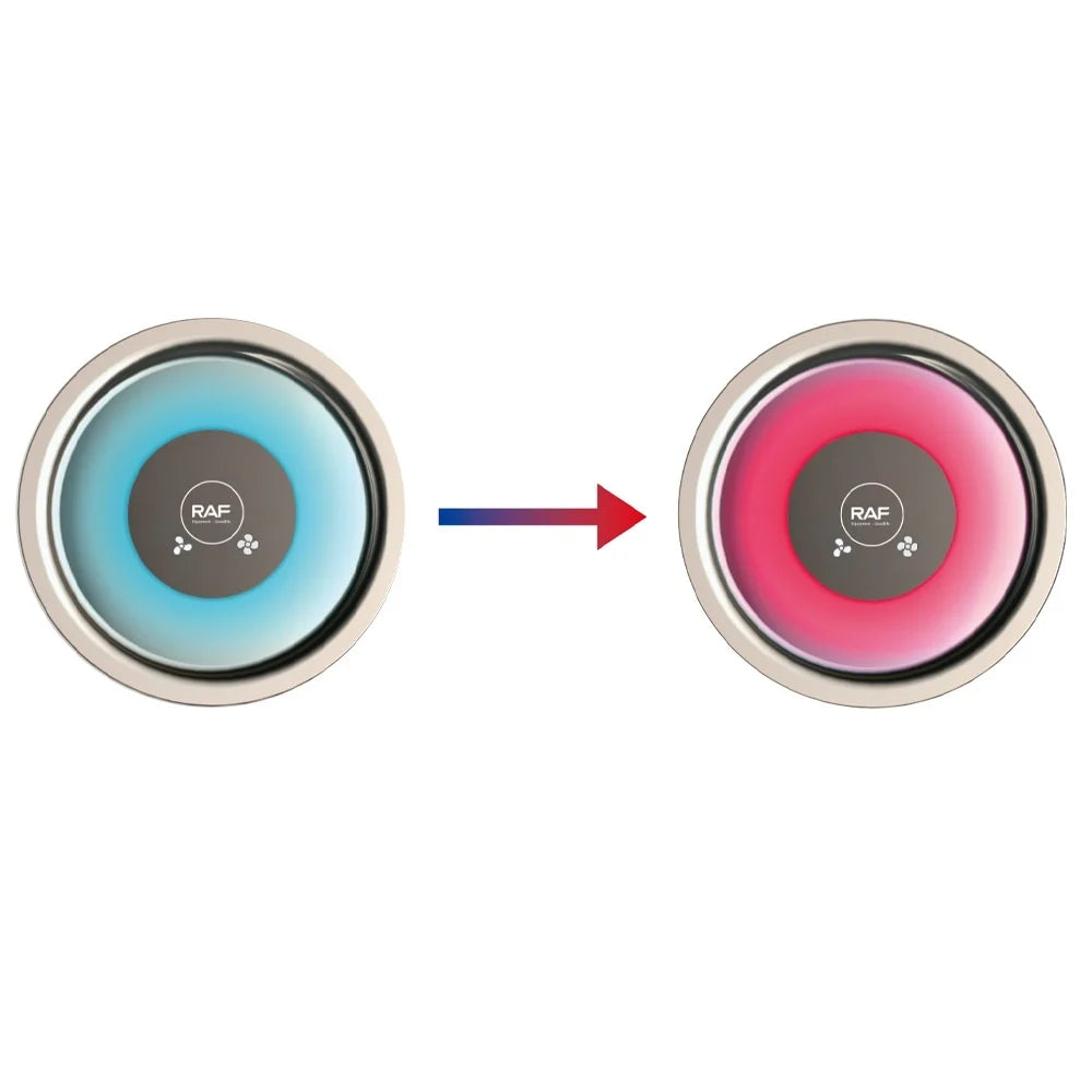 Uscator de par, RAF R423, 1600W, 33.5x16x8cm, 2 viteze si 3 trepte de temperatura, 1 cap magnetic, alb